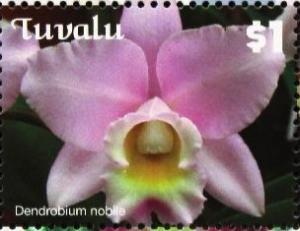 Colnect-6264-338-Dendrobium-nobile.jpg