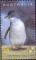 Colnect-455-847-Little-Penguin-Eudyptula-minor.jpg
