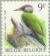 Colnect-187-359-Eurasian-Green-Woodpecker-Picus-viridis.jpg