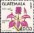 Colnect-2651-993-Epidendrum-imatophyllum.jpg