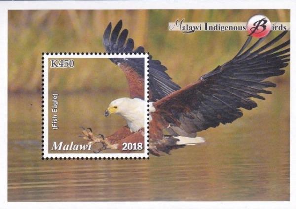 Colnect-5029-328-Indigenous-Birds-of-Malawi.jpg