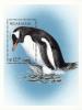 Colnect-4566-616-Gentoo-Penguin-Pygoscelis-papua.jpg