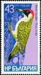Colnect-732-685-European-Green-Woodpecker-Picus-viridis.jpg