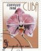 Colnect-1207-909-Phalaenopsis-margit-moses.jpg