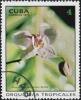 Colnect-1790-738-Phalaenopsis-schilleriana.jpg