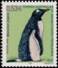Colnect-888-791-Gentoo-Penguin-Pygoscelis-papua.jpg