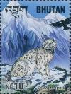 Colnect-3354-988-Snow-Leopard-Panthera-uncia.jpg