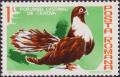 Colnect-1957-442-Craiova-Maroon-Pigeon-Columba-livia-forma-domestica.jpg