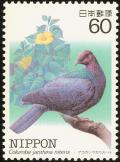 Colnect-608-842-Japanese-Wood-Pigeon-Columba-janthina-ssp-nitens.jpg