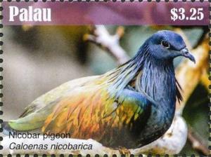 Colnect-4835-373-Nicobar-Pigeon----Caloenas-nicobarica.jpg