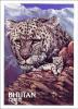 Colnect-3399-595-Snow-Leopard-Panthera-uncia.jpg