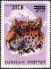 Colnect-3437-967-Snow-Leopard-Panthera-uncia.jpg