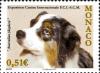 Colnect-1153-616-Australian-Shepherd-Canis-lupus-familiaris.jpg
