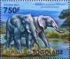 Colnect-1306-914-African-Elephant-Loxodonta-africana.jpg