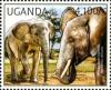 Colnect-1716-929-African-Elephant-Loxodonta-africana.jpg