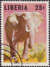 Colnect-1942-726-African-Elephant-Loxodontha-africana.jpg