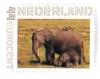 Colnect-1945-721-African-Elephant-Loxodonta-africana.jpg