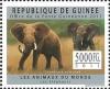 Colnect-2158-852-African-Elephant-Loxodonta-africana.jpg
