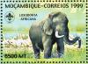 Colnect-3322-601-African-Elephant-Loxodonta-africana.jpg
