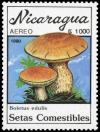 Colnect-3509-373-Cep-Boletus-edulis.jpg