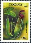 Colnect-4311-969-Nepenthes-hybrida.jpg