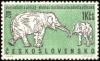 Colnect-441-145-Asian-Elephant-Elephas-maximus.jpg