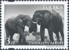 Colnect-4743-938-African-Elephant-Loxodonta-africana.jpg