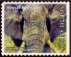 Colnect-4934-816-African-Elephant-Loxodonta-africana.jpg