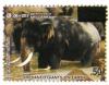 Colnect-528-314-Asian-Elephant-Elephas-maximus.jpg