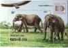 Colnect-532-924-Asian-Elephant-Elephas-maximus.jpg