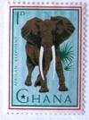 Colnect-550-376-African-Elephant-Loxodonta-africana.jpg