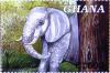 Colnect-550-481-African-Elephant-Loxodonta-africana.jpg