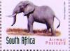 Colnect-557-154-African-Elephant-Loxodonta-africana.jpg