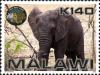 Colnect-5947-881-African-Elephant-Loxodonta-africana.jpg