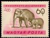 Colnect-812-908-Asian-Elephant-Elephas-maximus.jpg