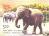 Colnect-956-400-Asian-Elephant-Elephas-maximus.jpg