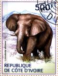 Colnect-3444-496-African-Elephant-Loxodonta-africana.jpg