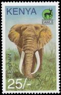 Colnect-4493-639-African-Elephant-Loxodonta-africana.jpg