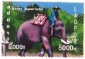 Colnect-532-957-Asian-Elephant-Elephas-maximus.jpg
