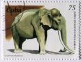 Colnect-537-159-Asian-Elephant-Elephas-maximus.jpg