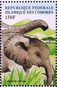 Colnect-553-617-African-Elephant-Loxodonta-africana.jpg