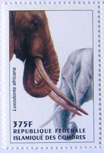 Colnect-553-614-African-Elephant-Loxodonta-africana.jpg