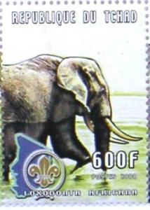 Colnect-540-034-African-Elephant-Loxodonta-africana.jpg