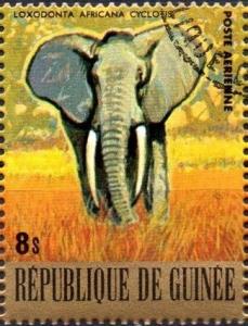 Colnect-2908-946-African-Elephant-Loxodonta-africana.jpg