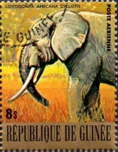 Colnect-2908-947-African-Elephant-Loxodonta-africana.jpg