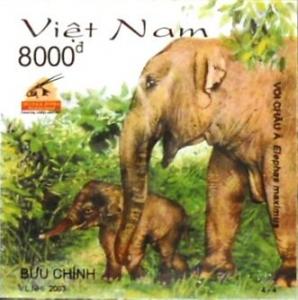 Colnect-848-704-Asian-Elephant-Elephas-maximus.jpg