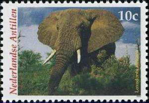 Colnect-1018-838-African-Elephant-Loxodonta-africana.jpg