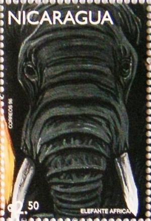 Colnect-1388-461-African-Elephant-Loxodonta-africana.jpg