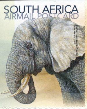 Colnect-1390-999-African-Elephant-Loxodonta-africana.jpg