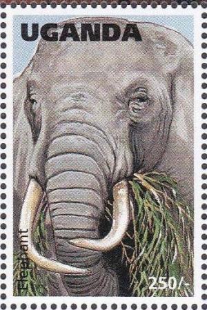 Colnect-1711-580-African-Elephant-Loxodonta-africana.jpg